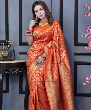 Pure Khadi Silk Saree