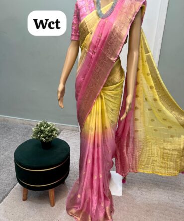 Chinnon Georgette saree