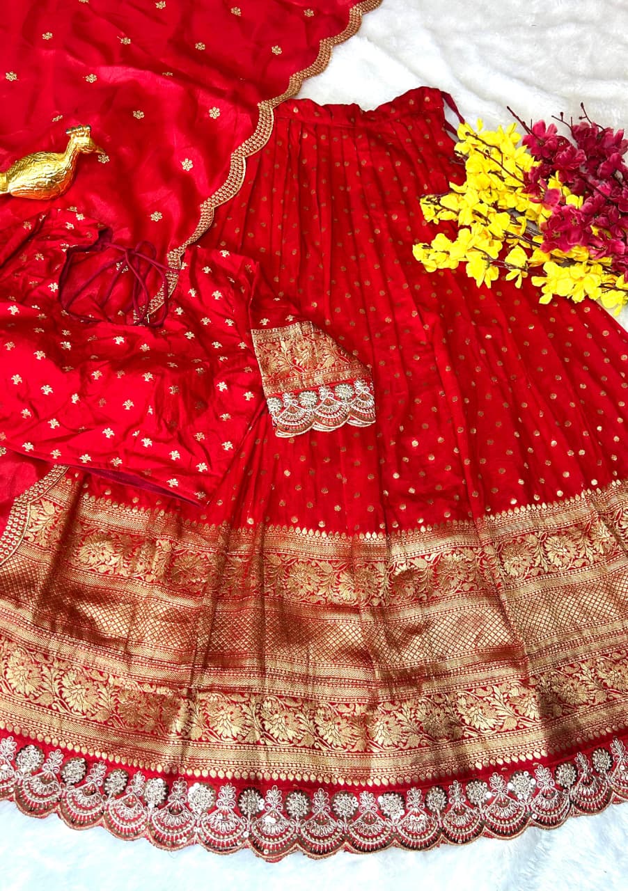 Beautiful Viscos Dola butta with Embodery sleeves and Big border lace - Image 5