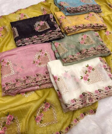 Beautiful party wear saree